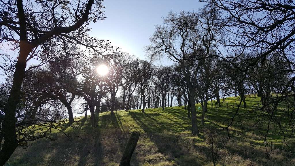 Black Diamond Hiking Trail Near Oakhurst | Black Diamond Trail, Clayton, CA 94517, USA