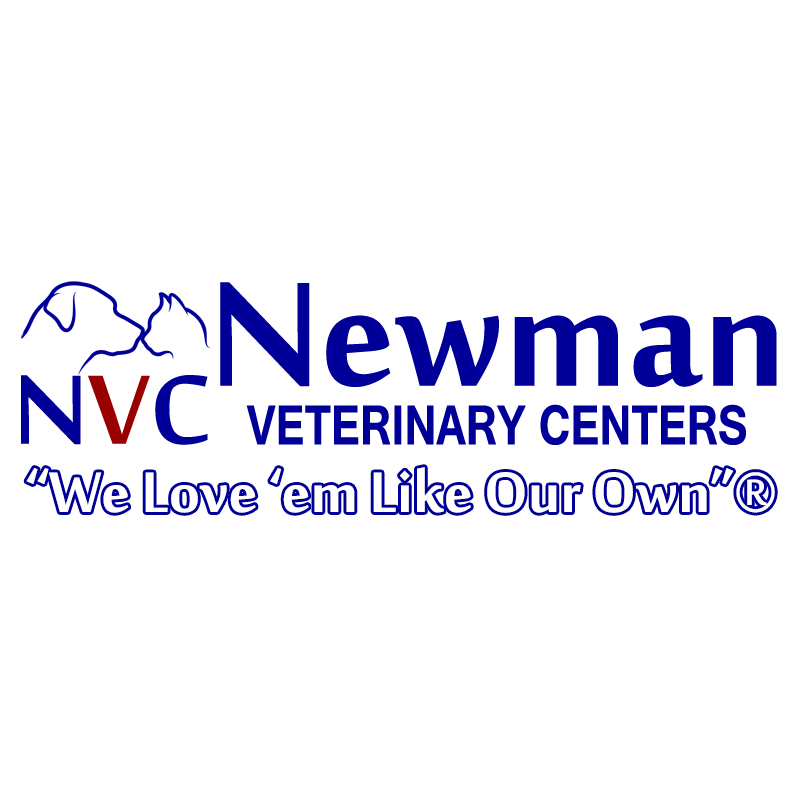 Newman Veterinary Centers | 1701 E Airport Blvd, Sanford, FL 32773 | Phone: (407) 585-4440