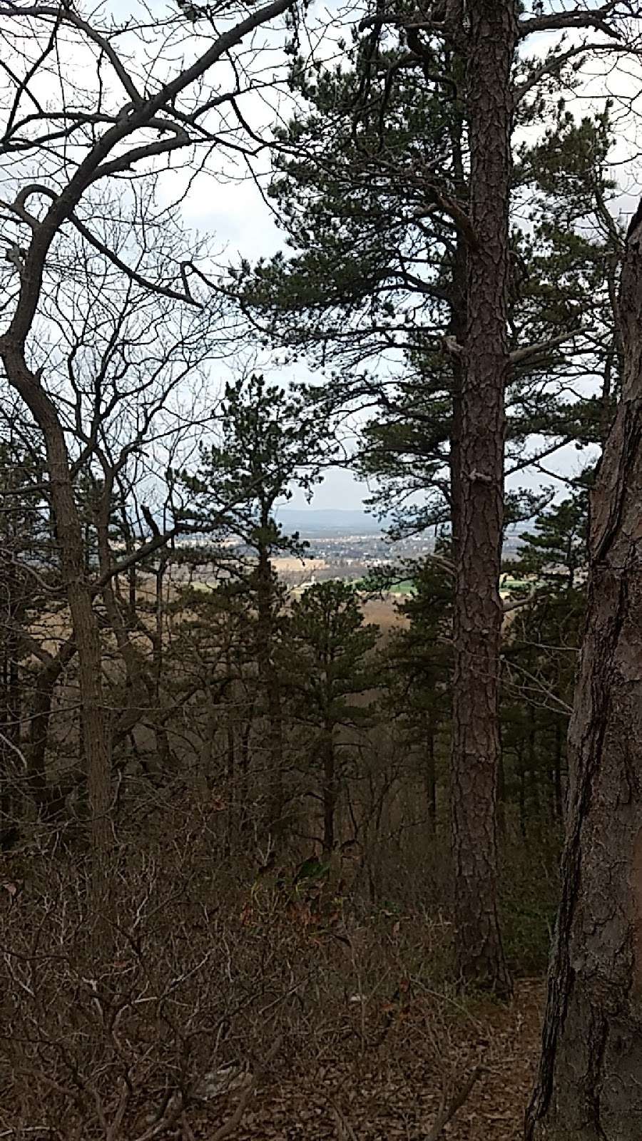 Center Point Knob | Appalachian Trail, Boiling Springs, PA 17007