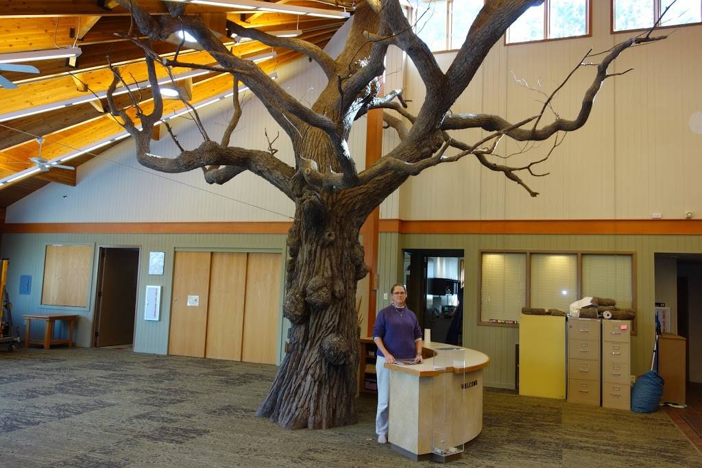 Harriet Alexander Nature Center | 2520 Dale St N, Roseville, MN 55113, USA | Phone: (651) 765-4262