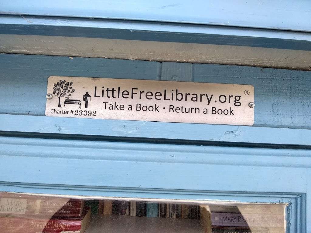 LittleFreeLibrary | Briar Forest Dr, Houston, TX 77077, USA | Phone: (715) 690-2488