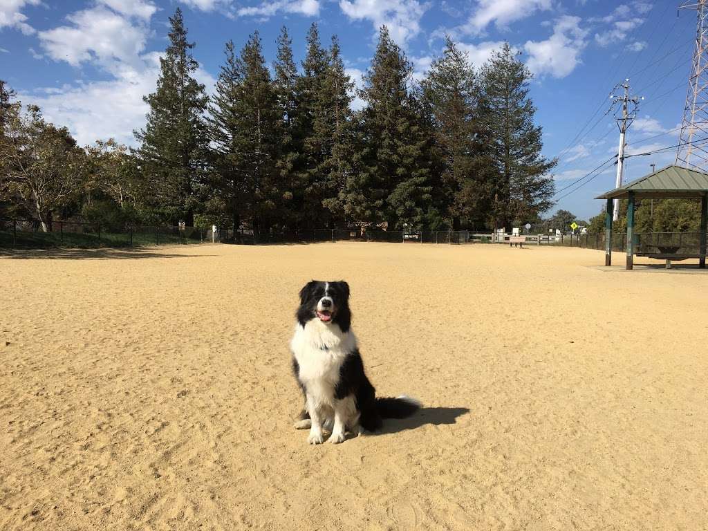 Dog Park | N Shoreline Blvd & North Rd, Mountain View, CA 94043, USA | Phone: (650) 903-6392