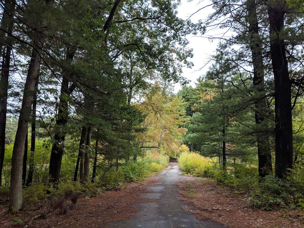 Lowell-Dracut-Tyngsborough State Forest | Trotting Park Rd, Lowell, MA 01854, USA | Phone: (978) 369-6312