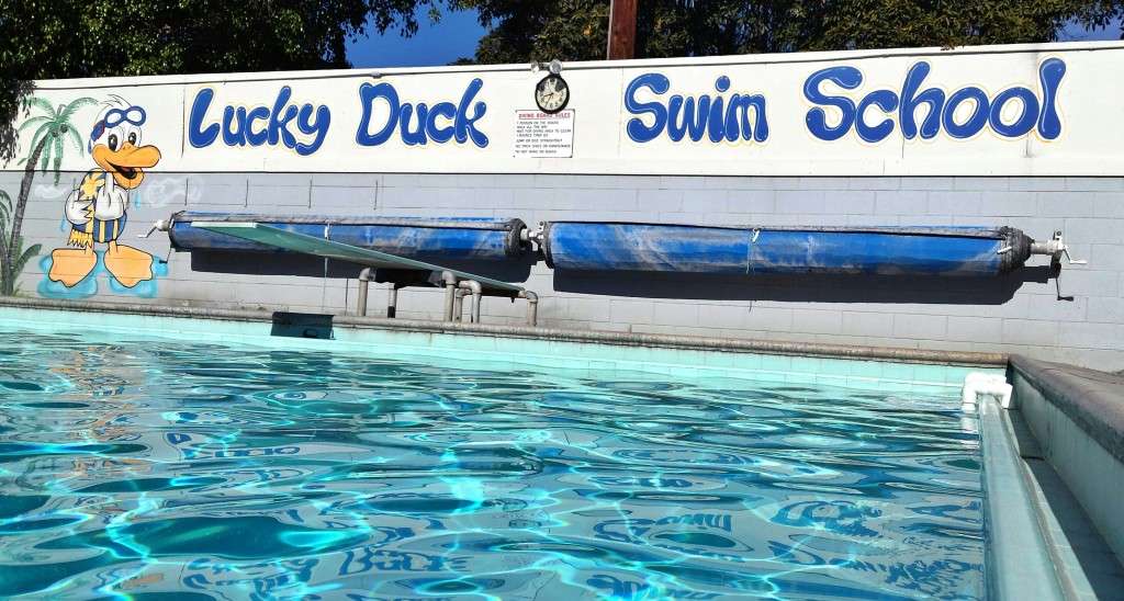 Lucky Duck Swim School | 2421 Marine Ave, Gardena, CA 90249 | Phone: (310) 323-3383