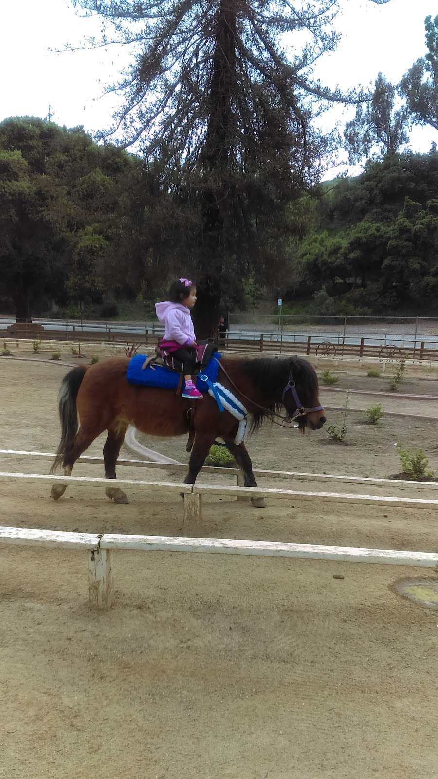 Griffith Park Pony Ride | 4400 Crystal Springs Dr, Los Angeles, CA 90027, USA | Phone: (323) 664-3266