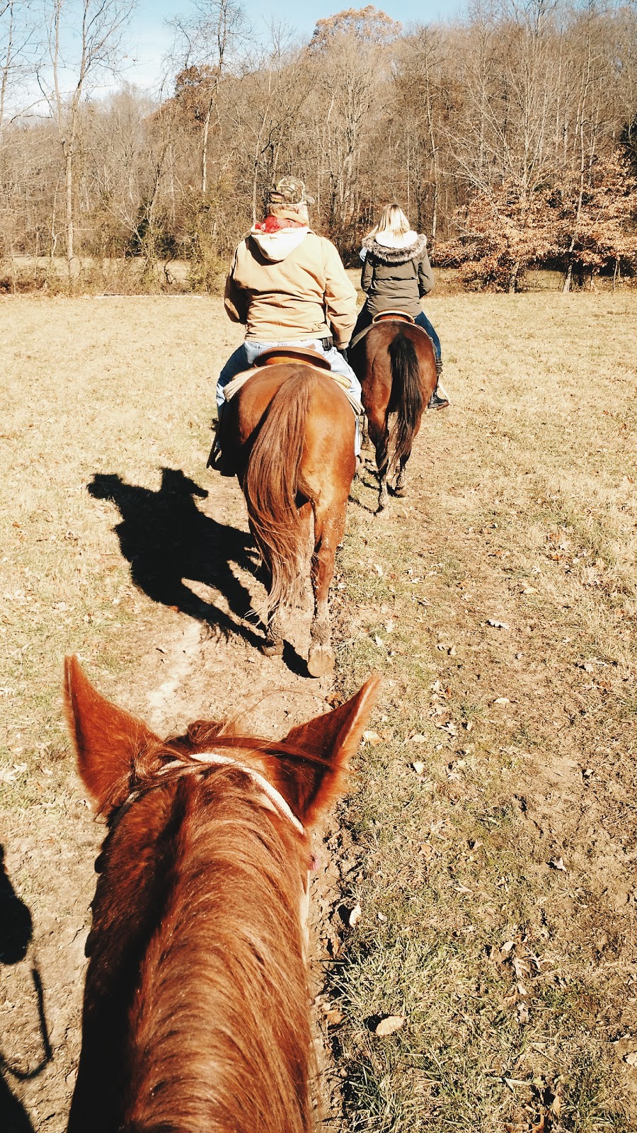 Grandpa Jeffs Trailrides | 5889 S Skinner Rd, Morgantown, IN 46160, USA | Phone: (812) 272-0702