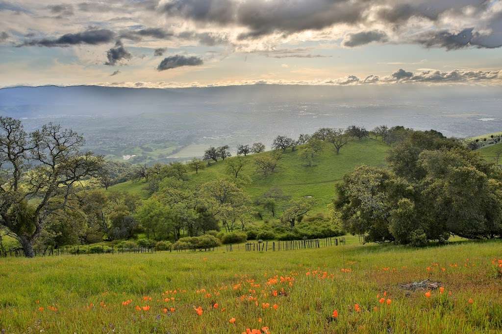 Joseph D. Grant County Park | 18405 Mt Hamilton Rd, Mt Hamilton, CA 95140, USA | Phone: (408) 274-6121