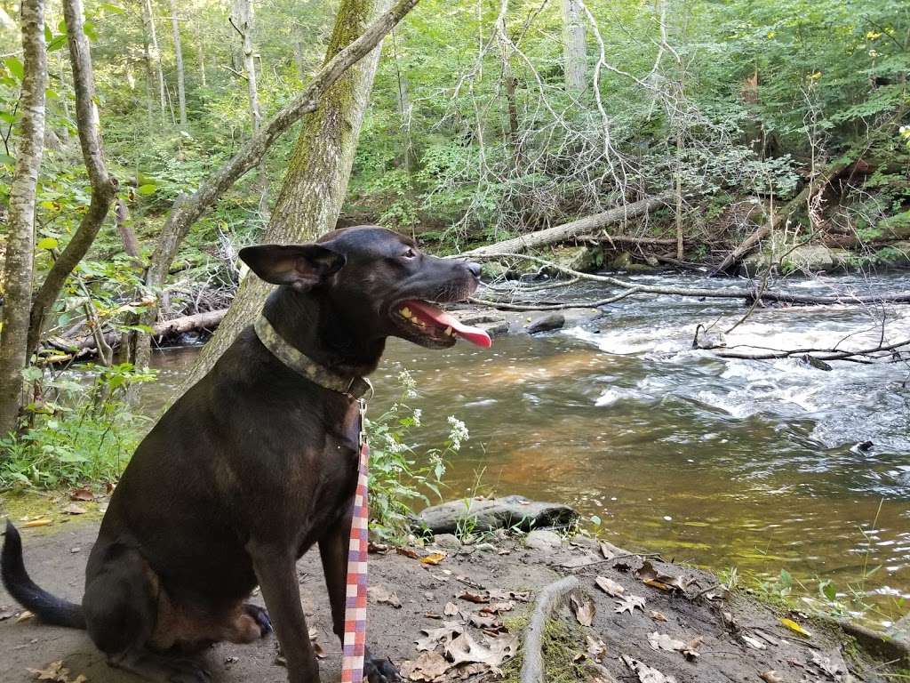 Hacklebarney Hiking Trail | 119 Hacklebarney Rd, Long Valley, NJ 07853, USA | Phone: (908) 638-8572