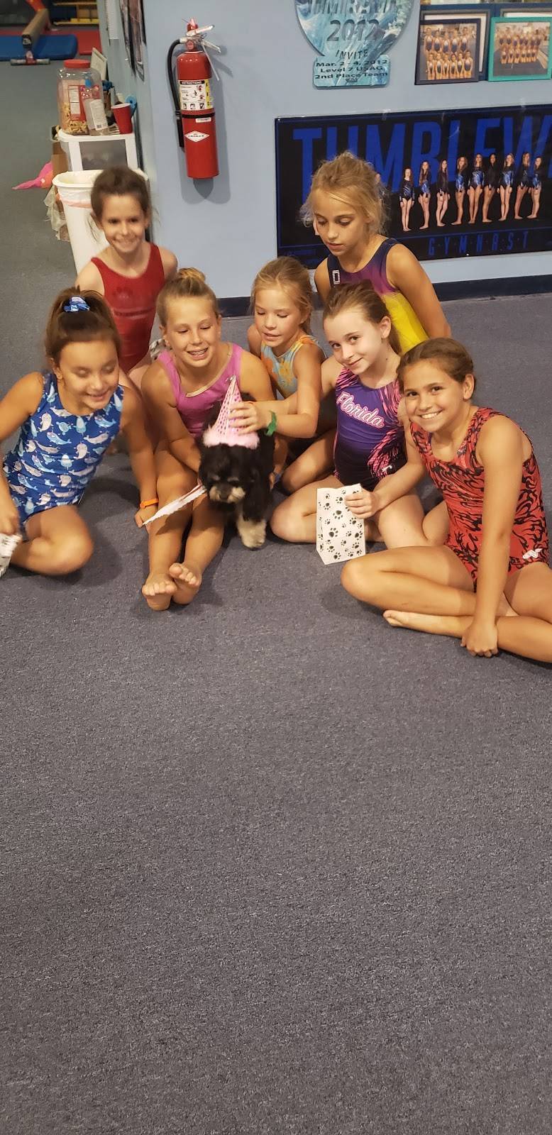 Tumbleweeds Gymnastics Inc | 3185 Parkway Dr, Melbourne, FL 32934, USA | Phone: (321) 253-5570