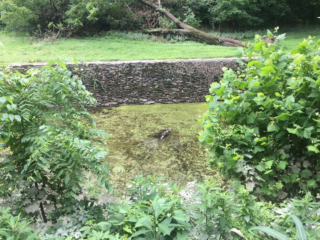 Shenandoah Canal | Harpers Ferry, WV 25425