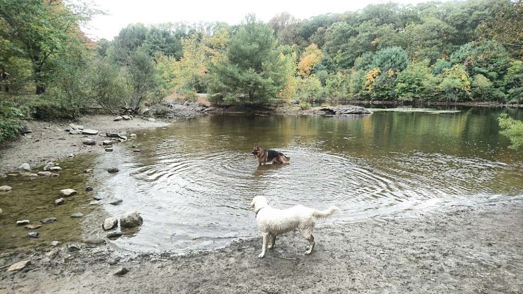 Callahan State Park | 1048 Edmands Rd, Framingham, MA 01701, USA | Phone: (508) 653-9641