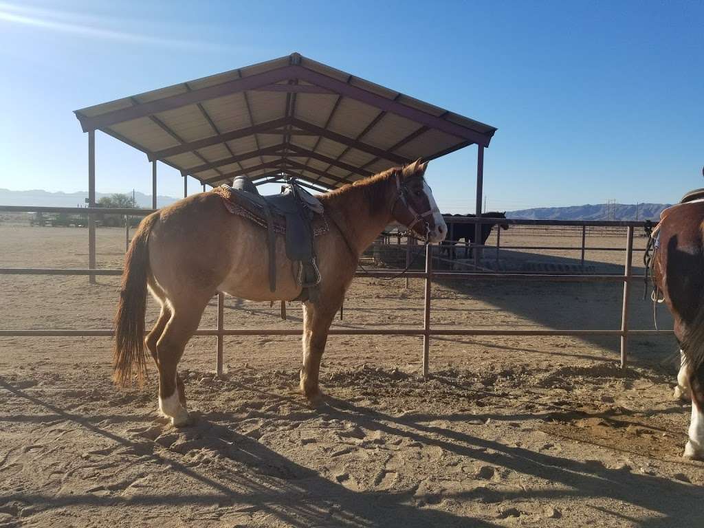 KOLI Equestrian Center | 6940 W BROKEN EAR RD, Chandler, AZ 85226, USA | Phone: (602) 796-3495