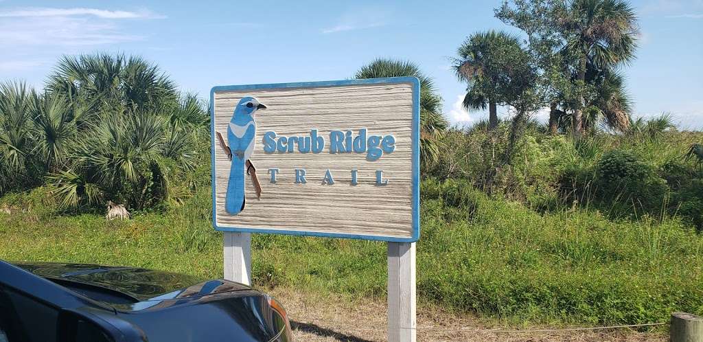 Scrub Jay Hiking Trail | Florida