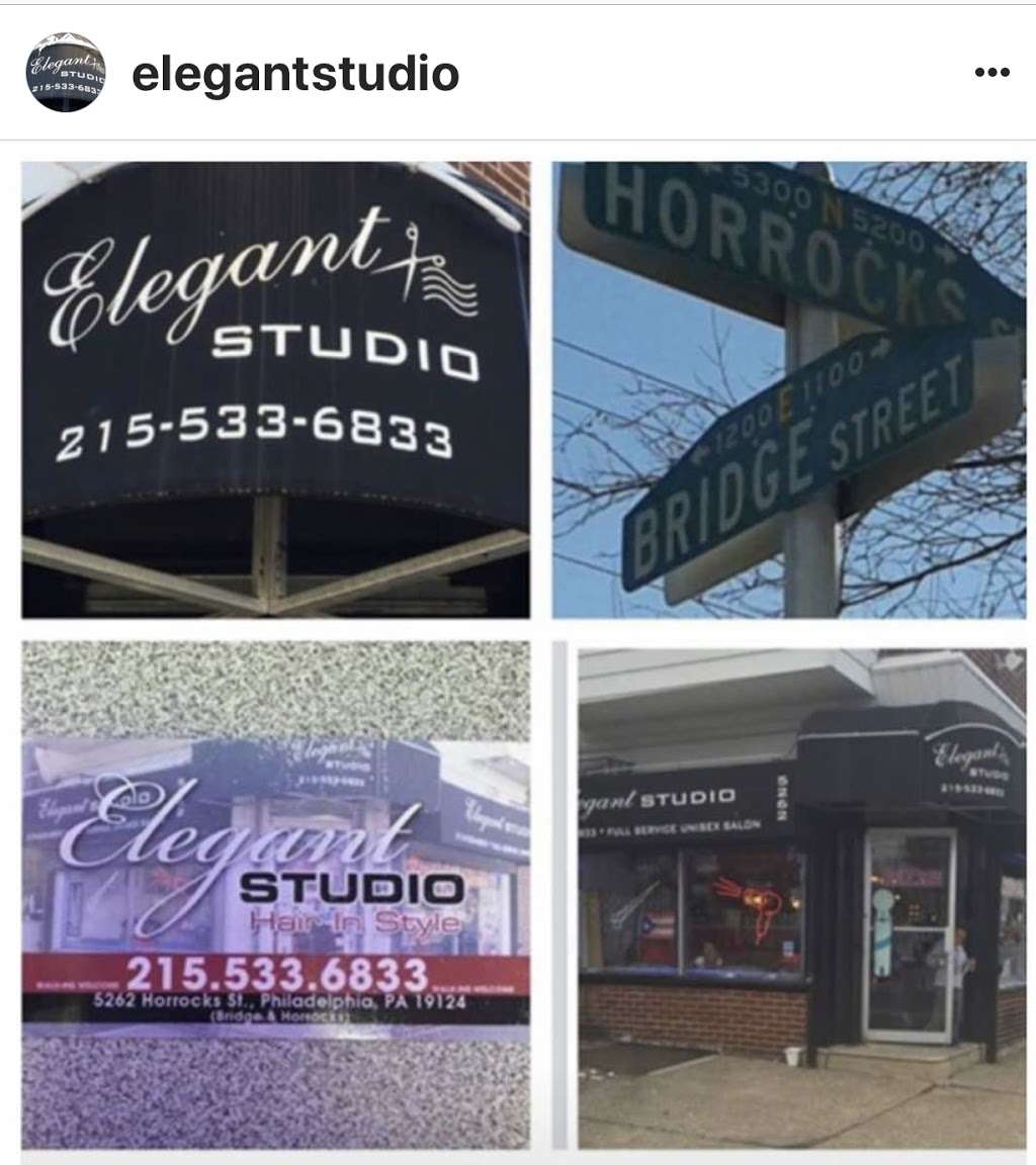Elegant Studio | 1812, 5262 Horrocks St, Philadelphia, PA 19124, USA | Phone: (215) 533-6833