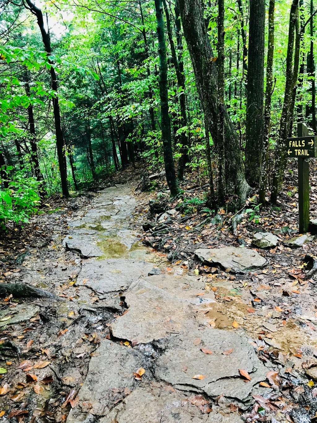 Falls Trail | Ricketts Glen Falls Trail, Benton, PA 17814, USA