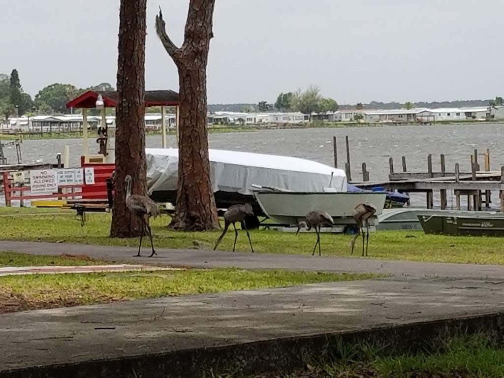 Paradise Island RV Park | 32000 US-27, Haines City, FL 33844, USA | Phone: (863) 439-1350