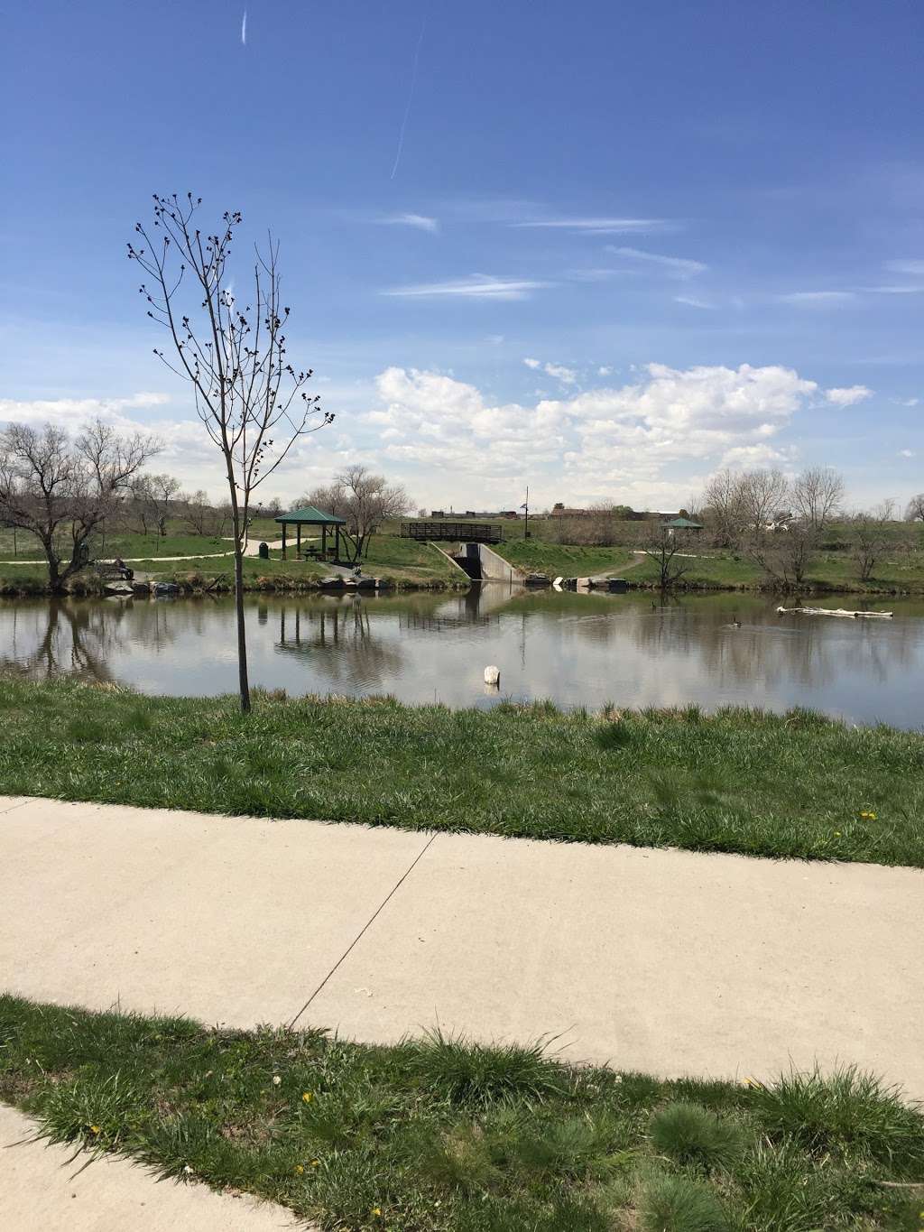 Grandview Ponds Open Space & Prairie Dog Habitat | Thornton, CO 80233, USA