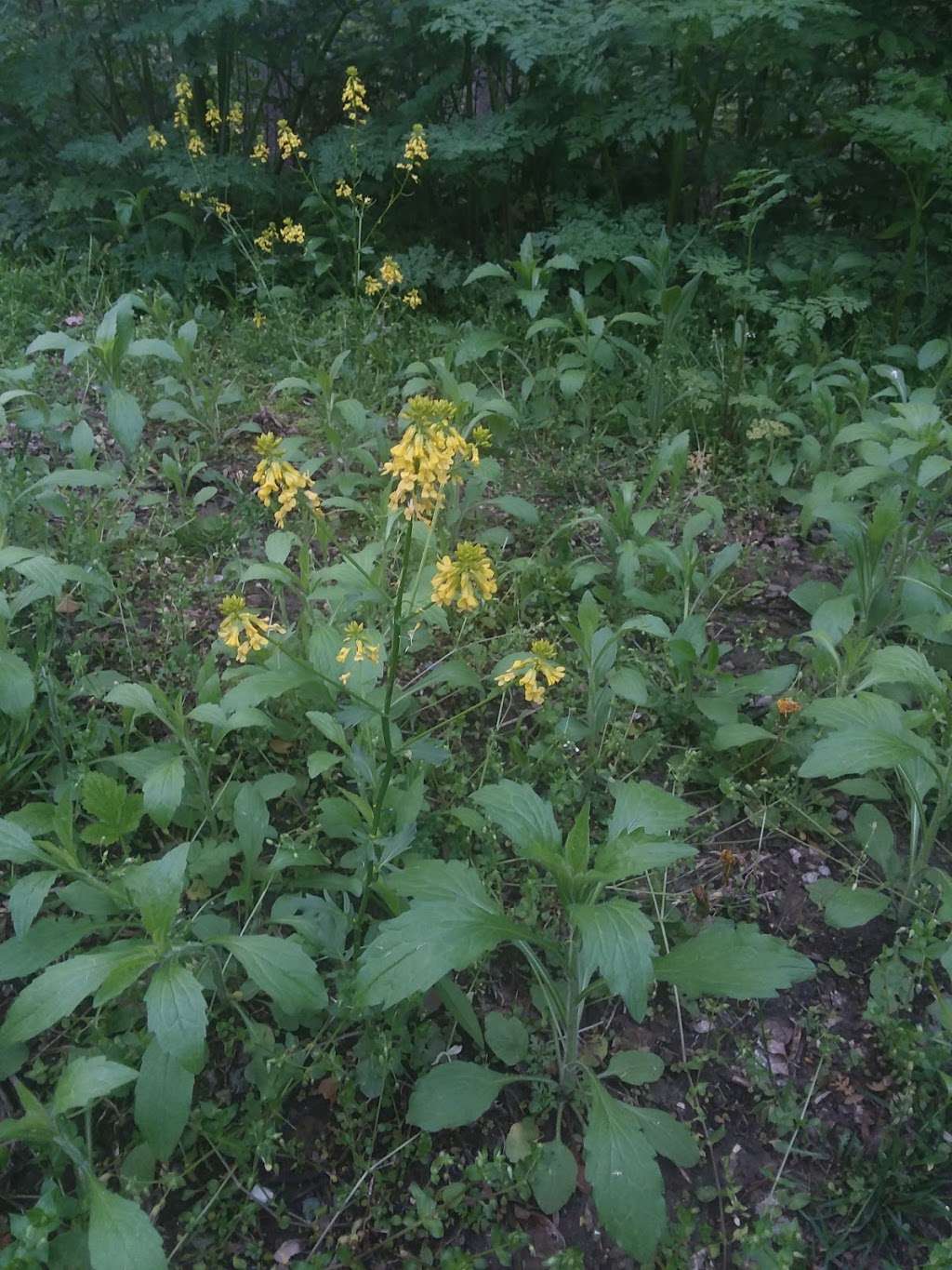 Derby Downs Park | Unnamed Road, Anderson, IN 46016, USA