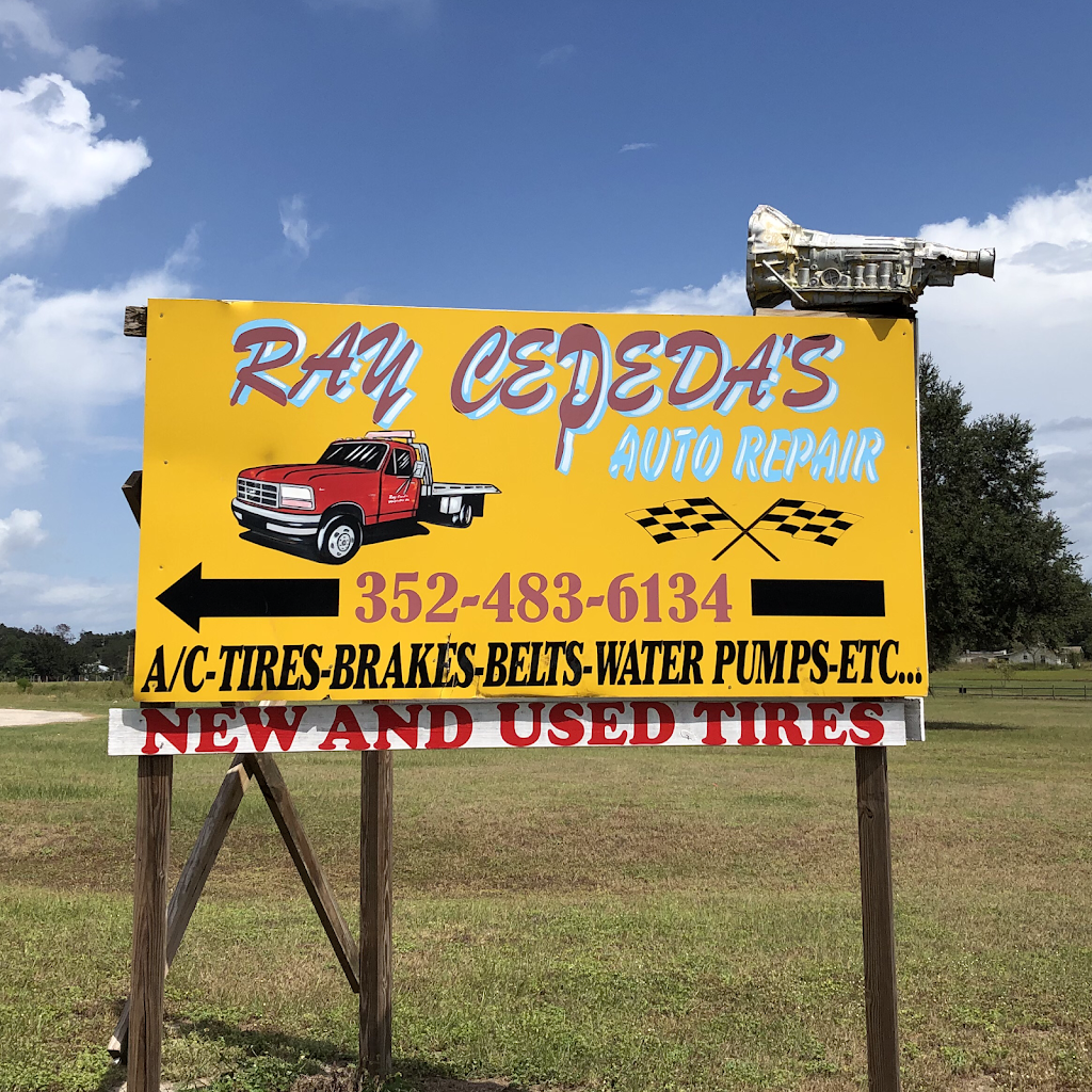 Ray Cepedas Auto Repair LLC | 2729 West Hwy. 50, Mascotte, FL 34753, USA | Phone: (352) 483-6134