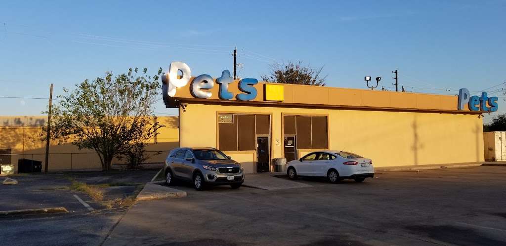 Pet City Houston | 230 Bammel Westfield Rd, Houston, TX 77090, USA | Phone: (281) 587-2336