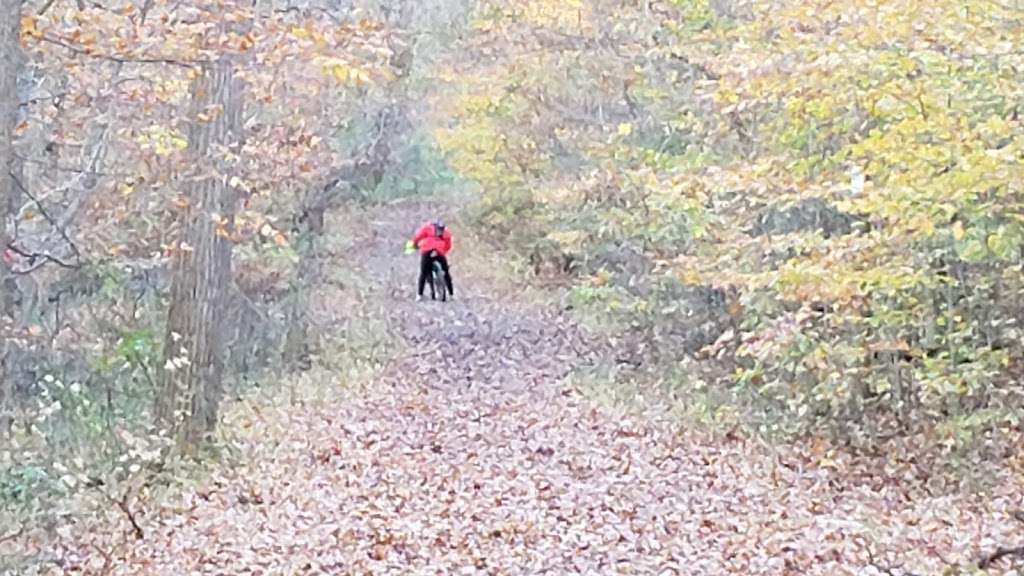 Pennypack creek trail | Pennypack Creek Trail, Huntingdon Valley, PA 19006, USA