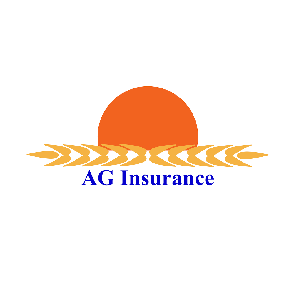 A G Insurance | 605 Cedar St, Perry, KS 66073, USA | Phone: (785) 597-2444
