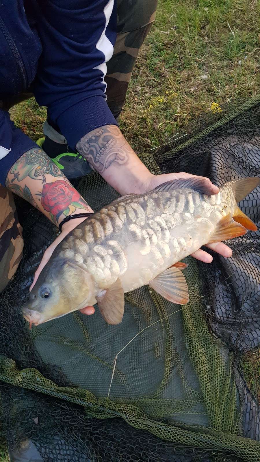 Henfold Lakes Fishery and Caravan Park | Henfold Lane, Beare Green, Dorking RH5 4RW, UK | Phone: 01306 883346