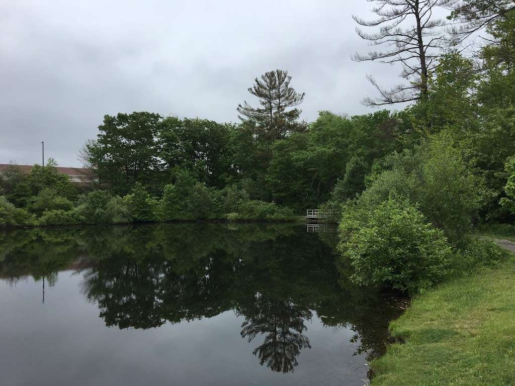 Woodside Pond | MANS, 12-17, Mansfield, MA 02048, USA