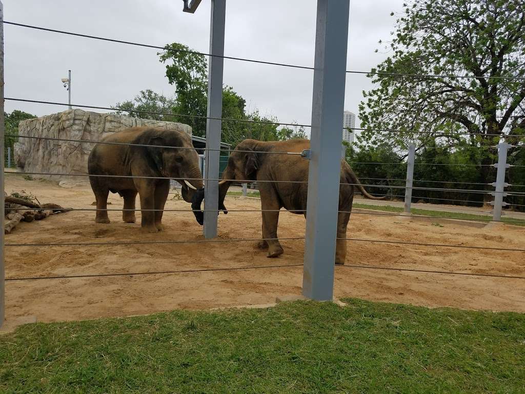 Houston Zoo - Main Entrance | 6200 Hermann Park Dr, Houston, TX 77030, USA | Phone: (713) 533-6500