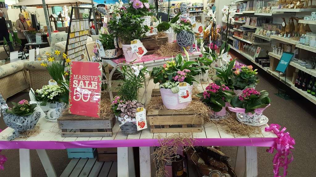 Keston, a Wyevale Garden Centre | Oakley Rd, Bromley BR2 8HD, UK | Phone: 0844 288 5082