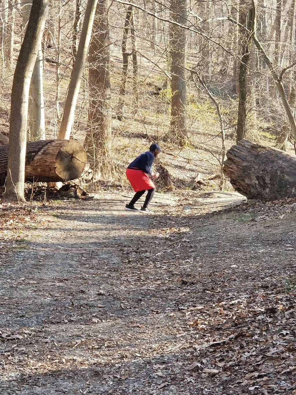 Pennypack Trail Parking Lot | Pennypack Trail, Huntingdon Valley, PA 19006, USA