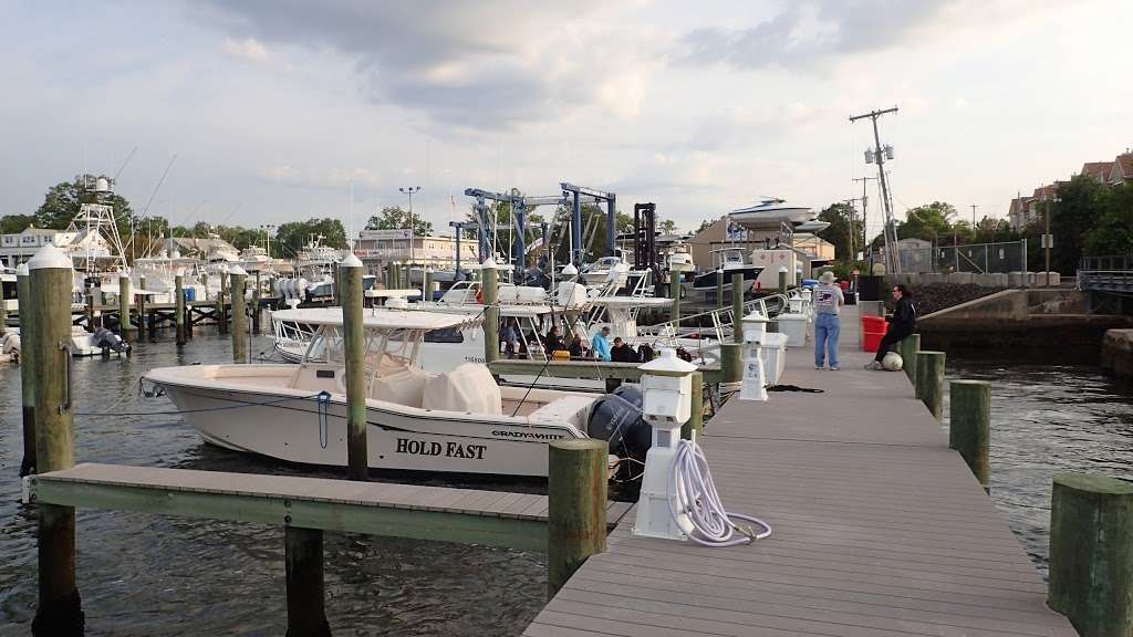 Hoffmans Marina | 602 Green Ave, Brielle, NJ 08730, USA | Phone: (732) 528-6200