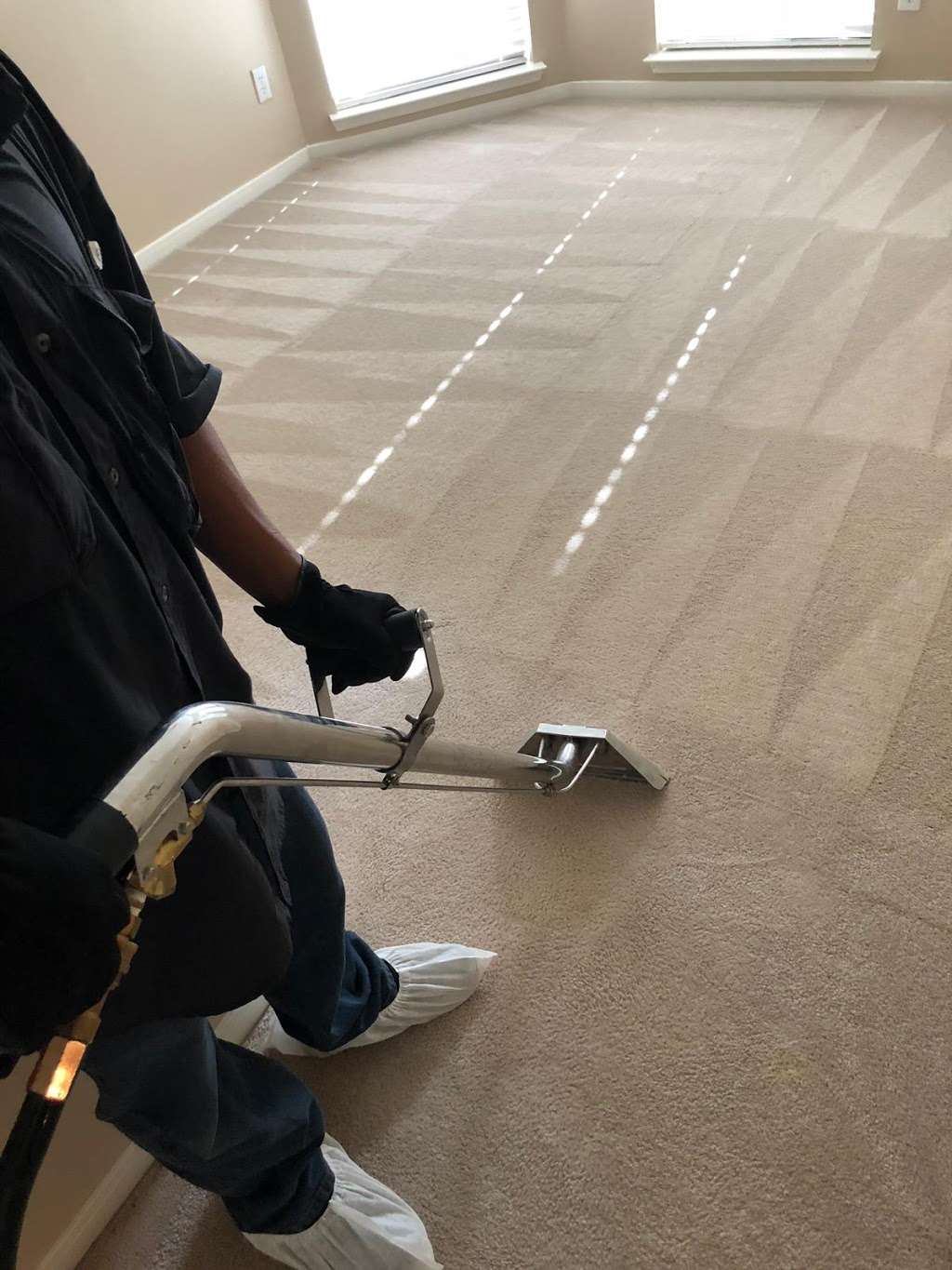 Carpet Cleaning | Las Vegas, NV 89121, USA | Phone: (702) 766-0191