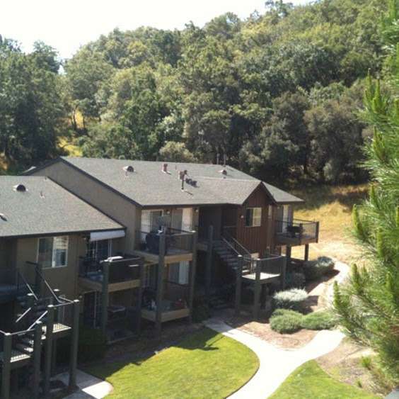 Crooked Oak at Loma Verde Preserve | 130 Cielo Ln, Novato, CA 94949, USA | Phone: (628) 227-6430