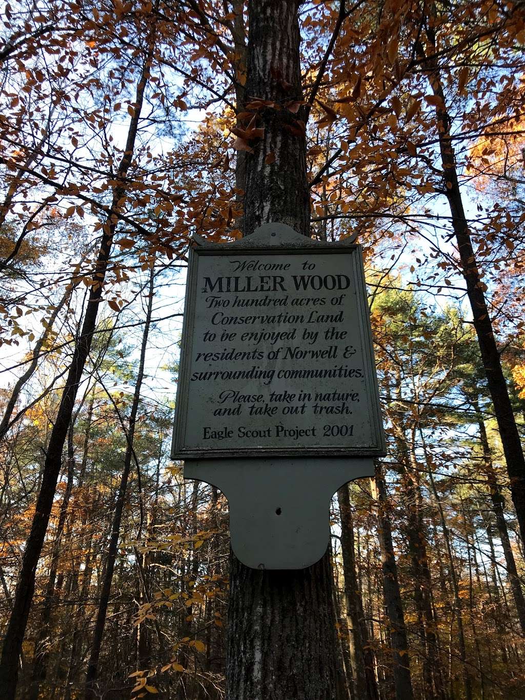Miller Woods & Fogg Forest Parking | Norwell, MA 02061, USA