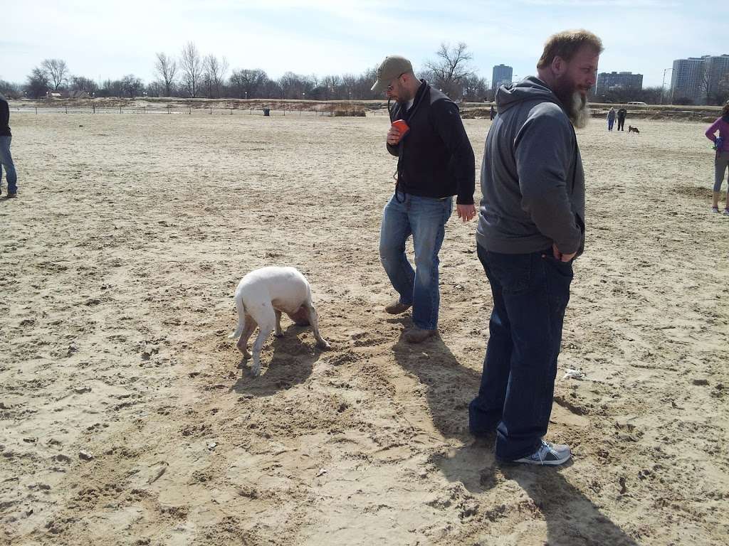 Mondo Dog Beach | Chicago, IL 60613, USA