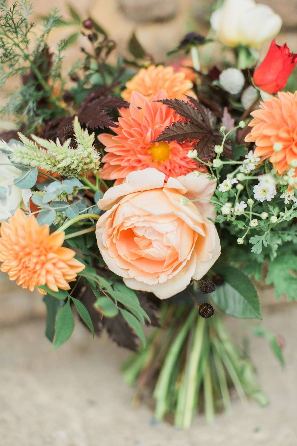 Cool Spring Garden | 489 Doe Run Rd, Manheim, PA 17545, USA | Phone: (717) 314-9509