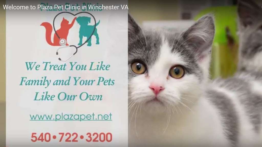 Plaza Pet Clinic | 1855 Senseny Rd #7, Winchester, VA 22602, USA | Phone: (540) 722-3200