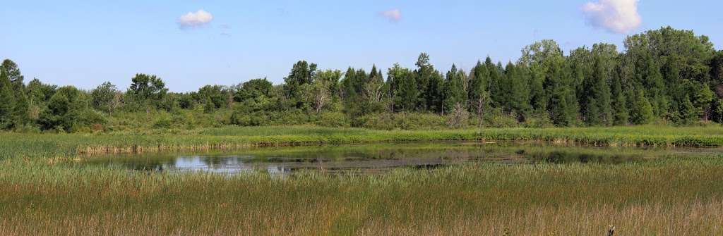 Ottawa Lake Fen State Natural Area | Dousman, WI 53118, USA | Phone: (608) 266-0394