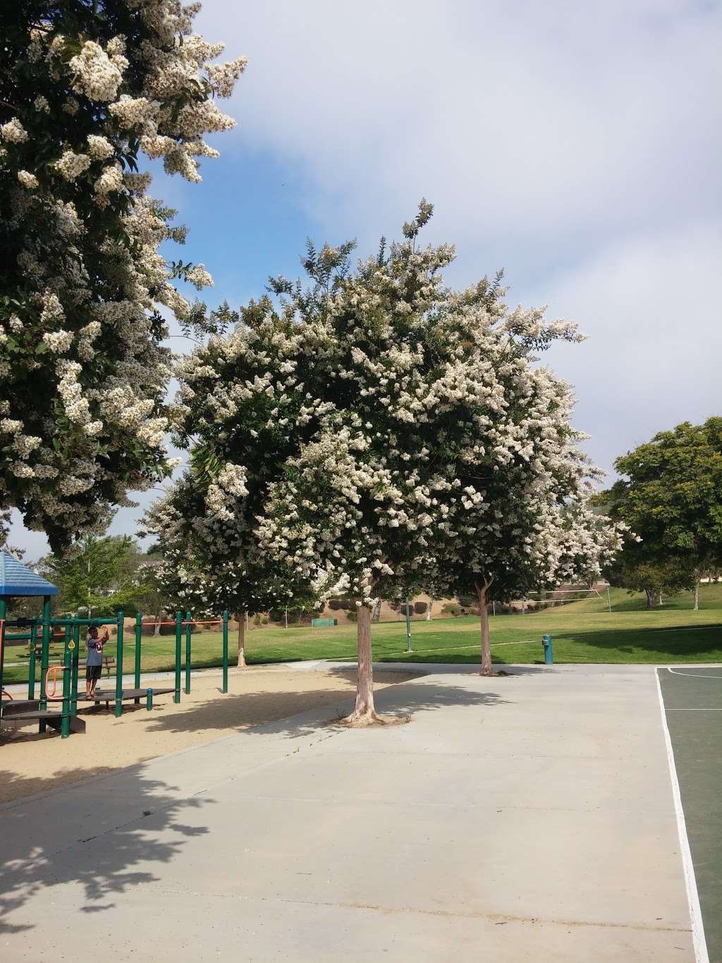 Lokker Park | Camarillo, CA 93010, USA | Phone: (805) 482-1996