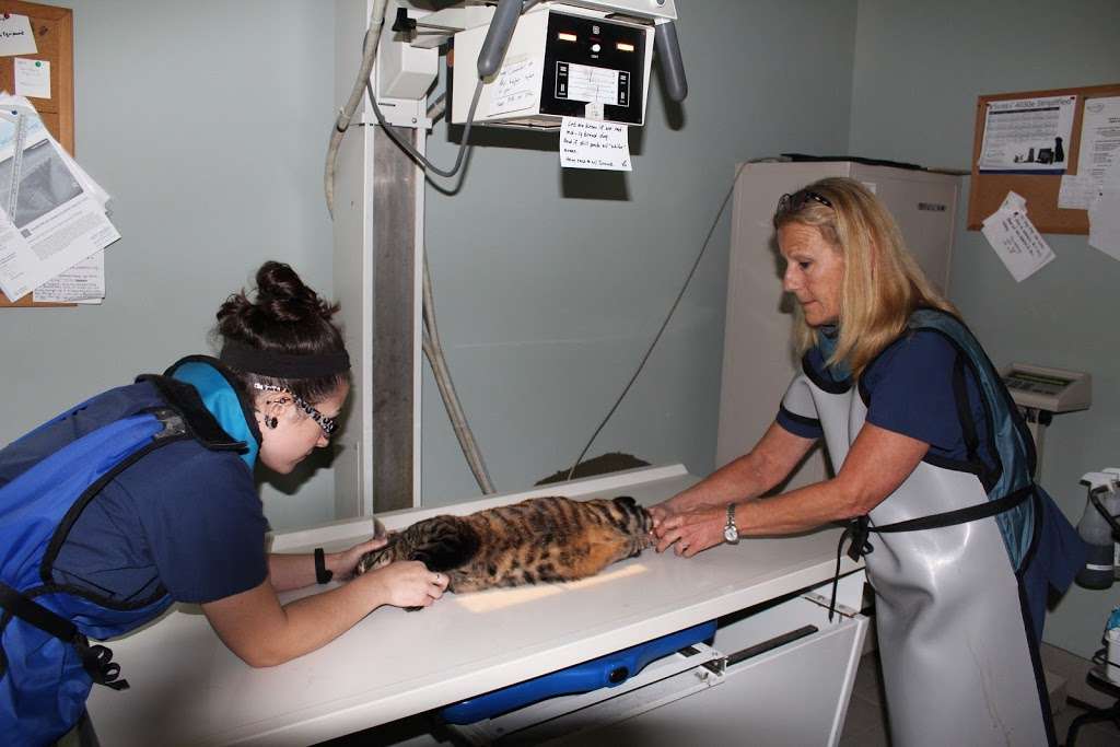 Shore Veterinarians South | 73 Hope Corson Rd, Ocean View, NJ 08230, USA | Phone: (609) 390-9113