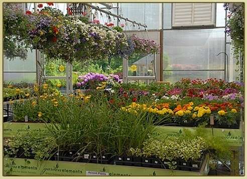 Wanner Landscaping & Garden | 31 Old Swede Rd, Douglassville, PA 19518, USA | Phone: (610) 385-4000