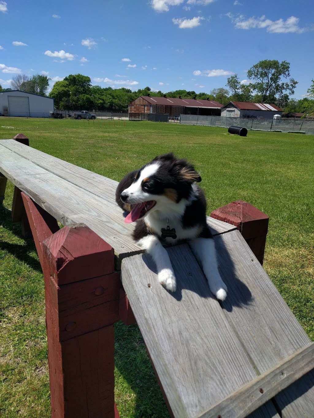 Officer Cash Memorial Dog Park | Officer Cash Memorial Dog Park, 535 S Anderson St, Angleton, TX 77515, USA | Phone: (979) 549-0410 ext. 5