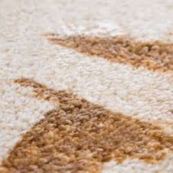 Y. Moore Rug Cleaner | 184 Central Ave, Old Tappan, NJ 07675 | Phone: (201) 729-3230