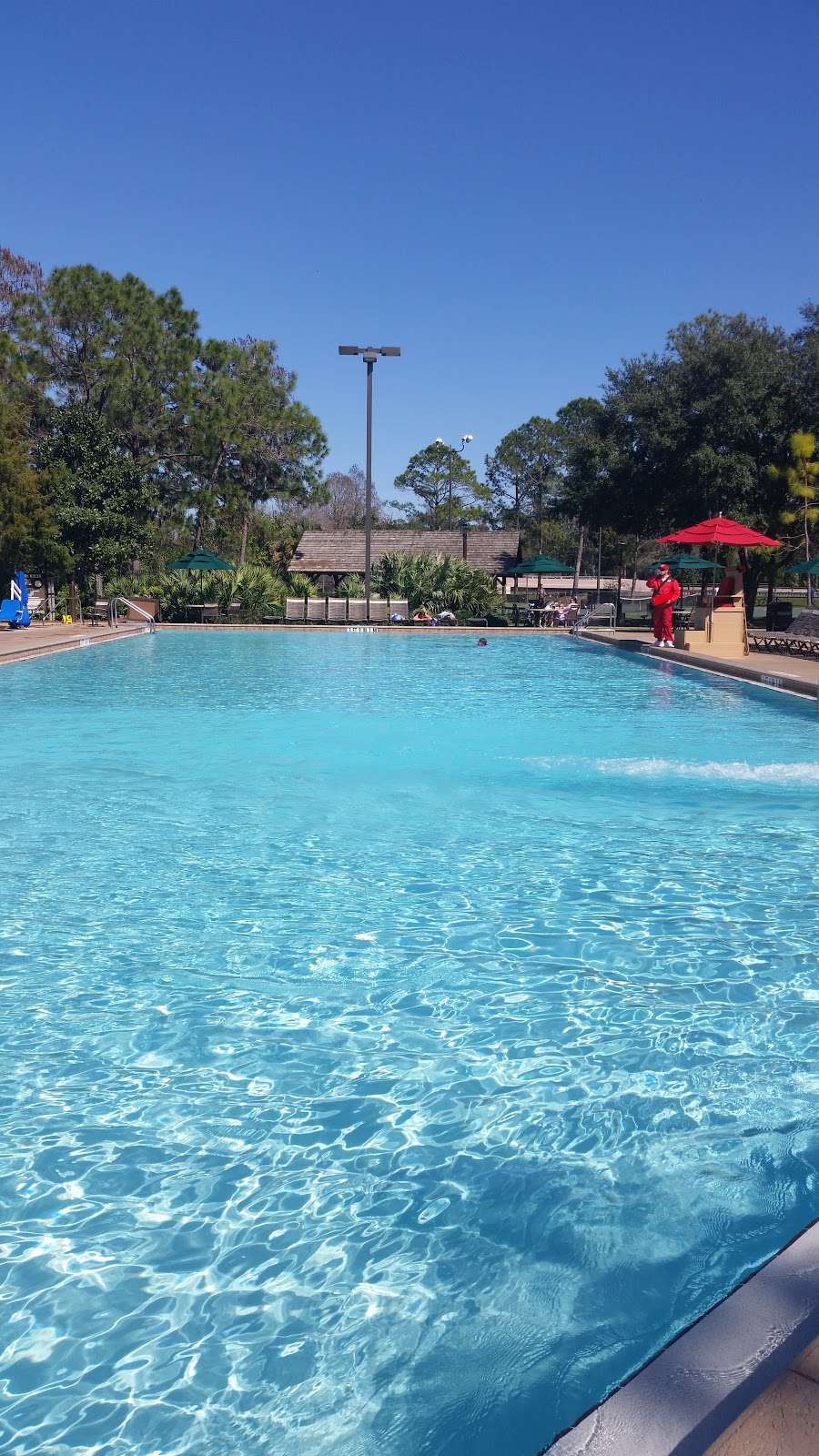 Meadow Pool Snack Bar | 4510 Fort Wilderness Trail, Orlando, FL 32836, USA