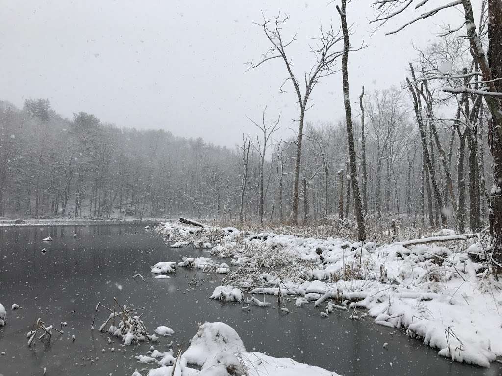 Bennetts Pond State Park | 550-698 Bennetts Farm Rd, Ridgefield, CT 06877, USA