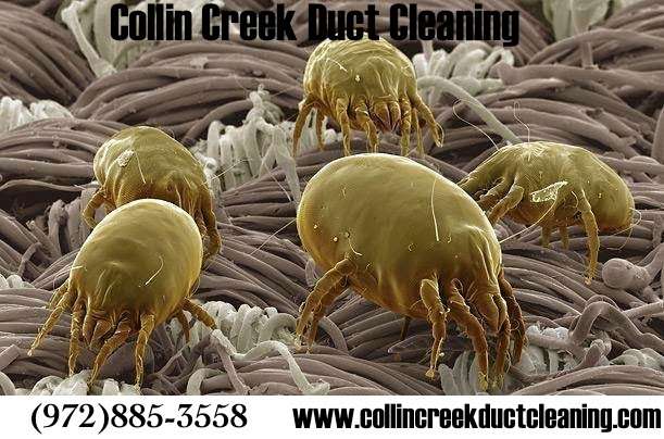 Collin Creek Home Air Care | 9762 Skillman St, Dallas, TX 75243, USA | Phone: (972) 627-4727