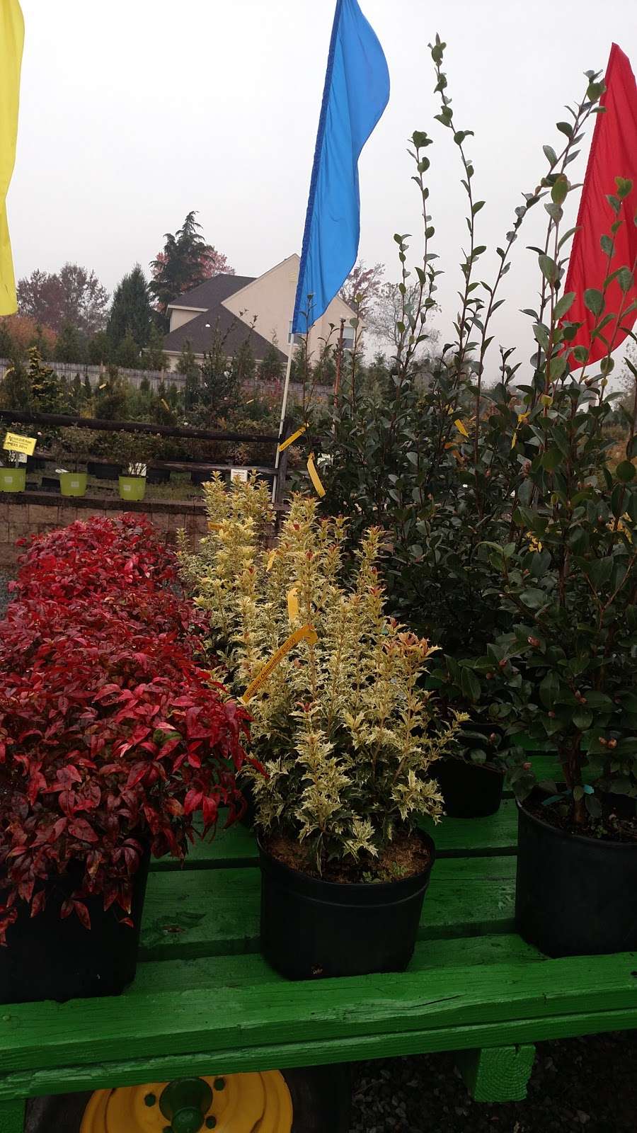 Axtens Nursery & Landscape | 155 Tomlinson Mill Rd, Marlton, NJ 08053, USA | Phone: (856) 985-1835