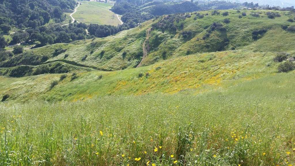 Quigley Canyon Open Space | Fino Mtwy, Santa Clarita, CA 91350, USA