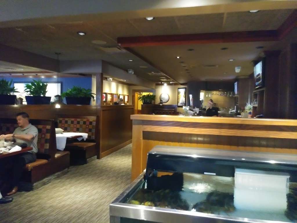 Red Lobster | 3162 S Atlantic Ave, Daytona Beach Shores, FL 32118, USA | Phone: (386) 756-1550